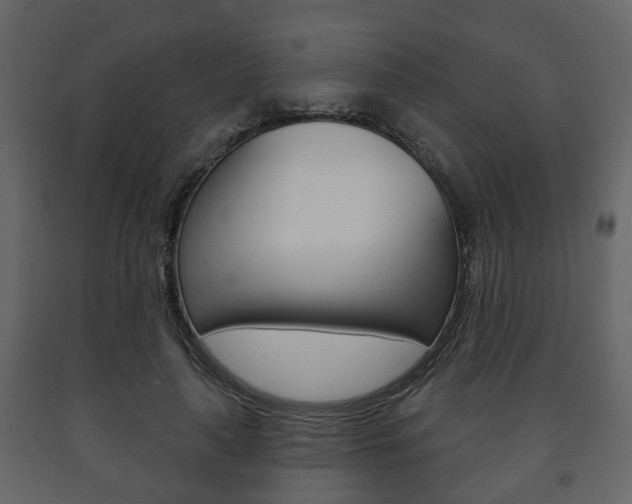 X0000091700643200708240935