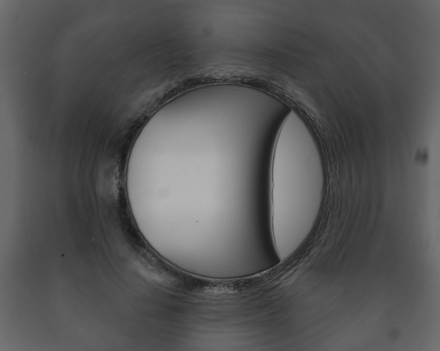 X0000091700644200708240935