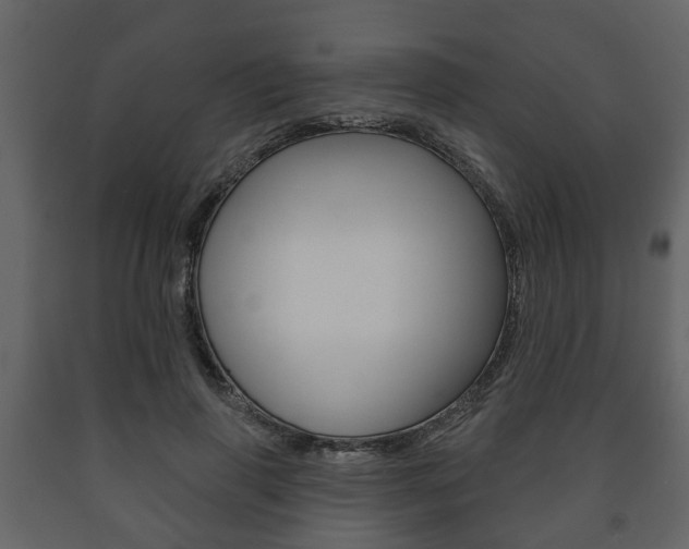 X0000091700645200708240935