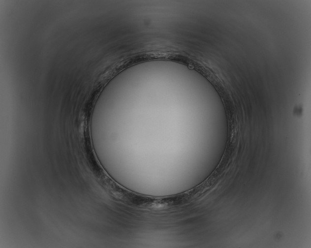 X0000091700647200708240935