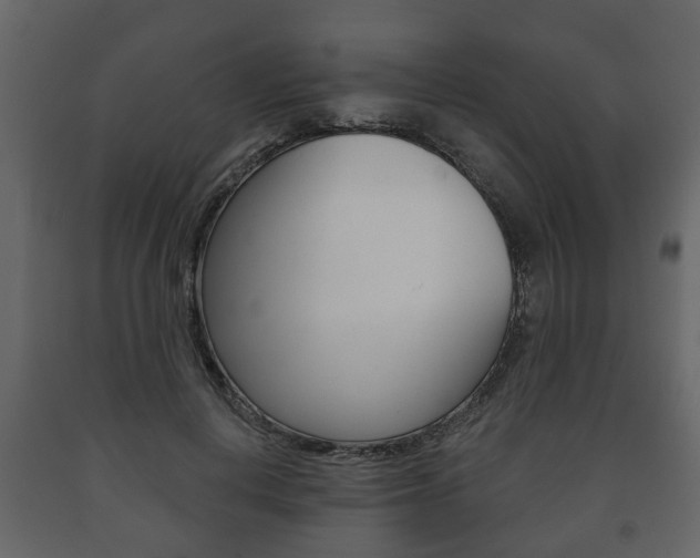 X0000091700648200708240935