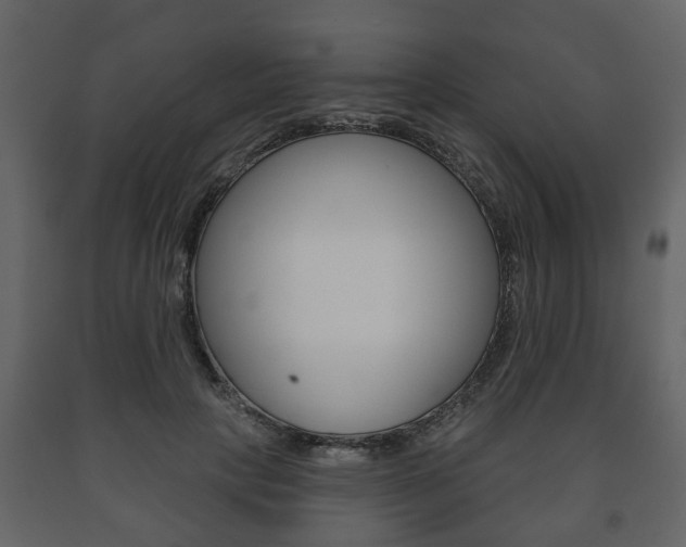 X0000091700649200708240935