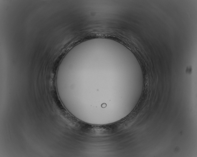 X0000091700650200708240935