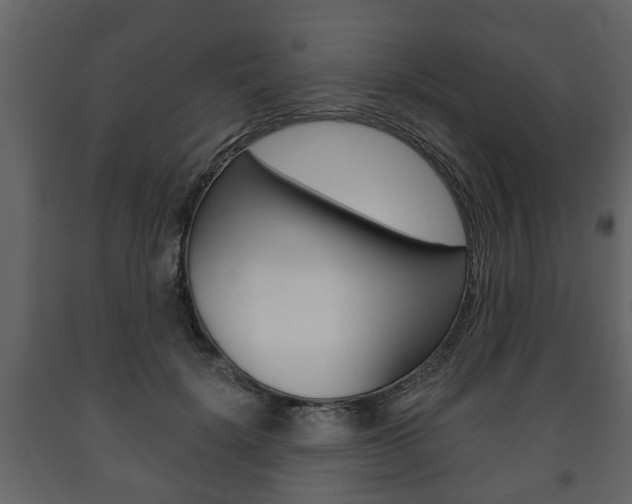X0000091700652200708240935