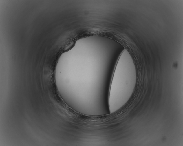 X0000091700653200708240935
