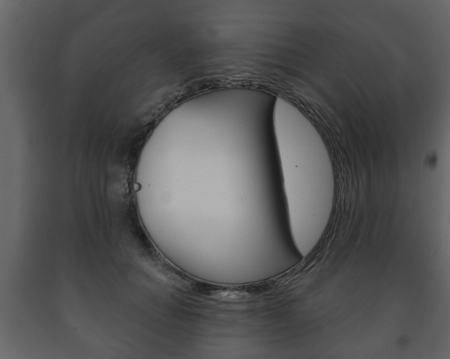 X0000091700654200708240935