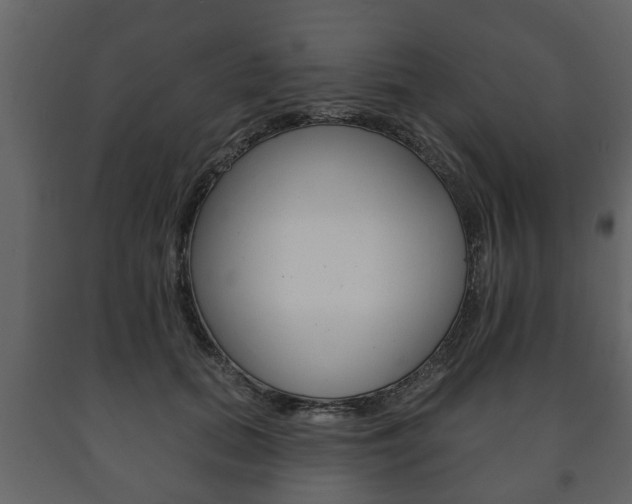 X0000091700655200708240935