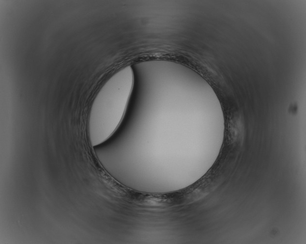 X0000091700657200708240935