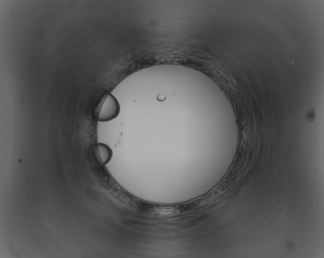 X0000091700659200708240935