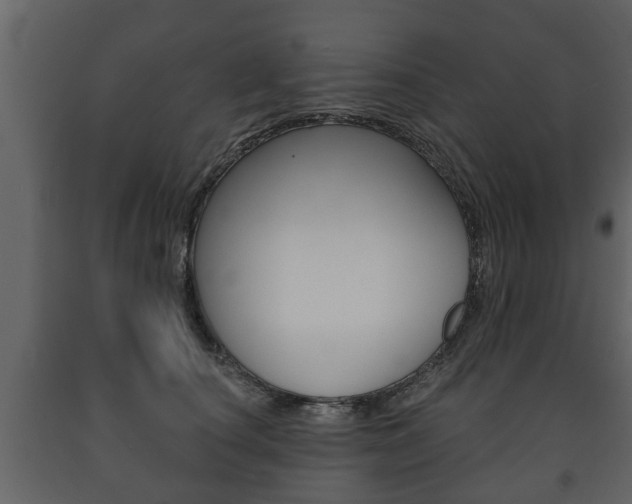 X0000091700660200708240935