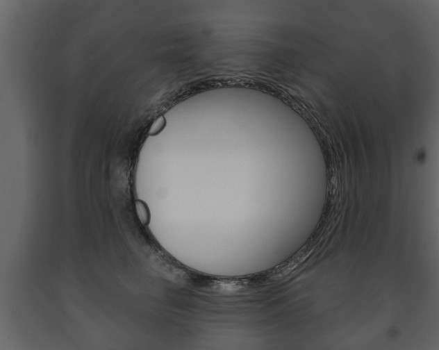 X0000091700662200708240935