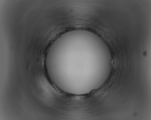 X0000091700664200708240935