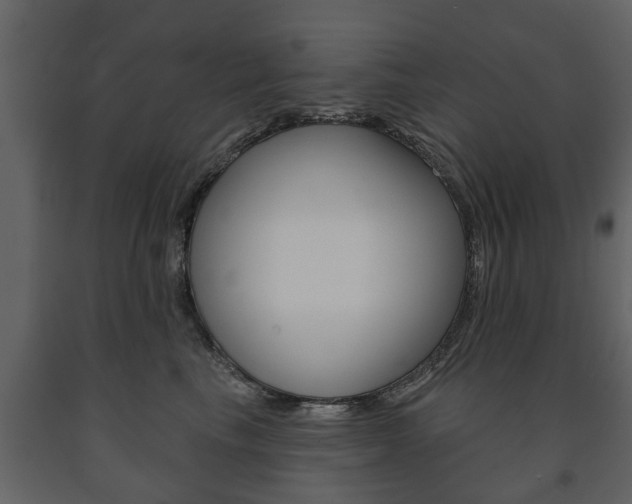 X0000091700665200708240935