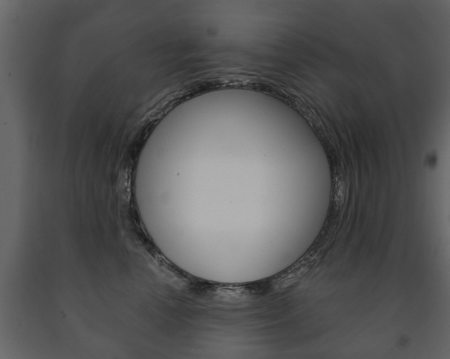 X0000091700666200708240935