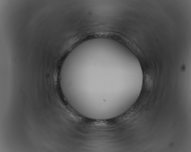 X0000091700668200708240935
