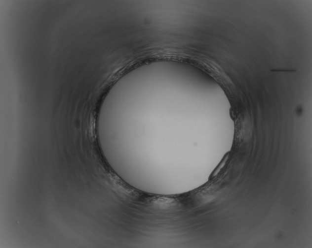 X0000091700669200708240935