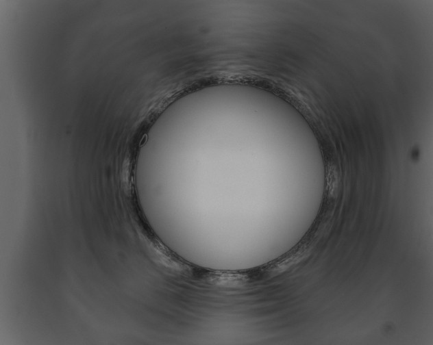X0000091700670200708240935