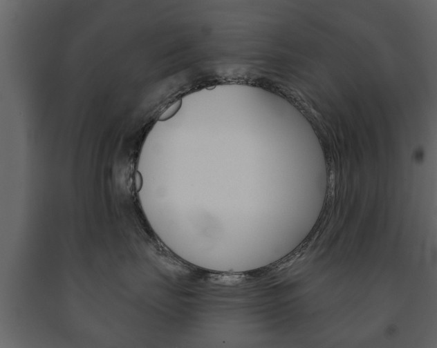 X0000091700671200708240935