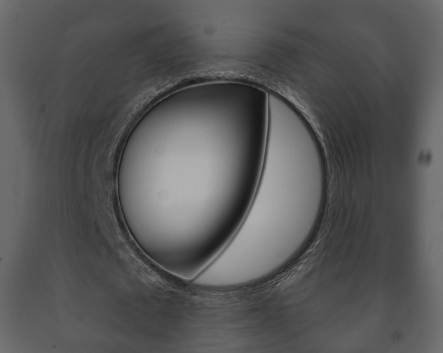 X0000091700673200708240934