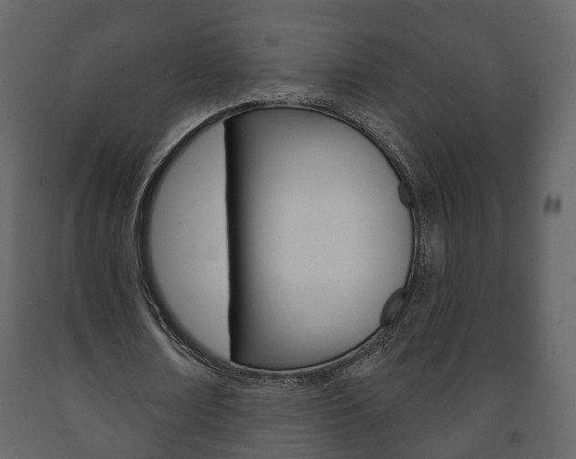 X0000091700674200708240934