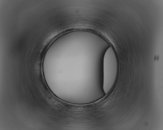 X0000091700675200708240934