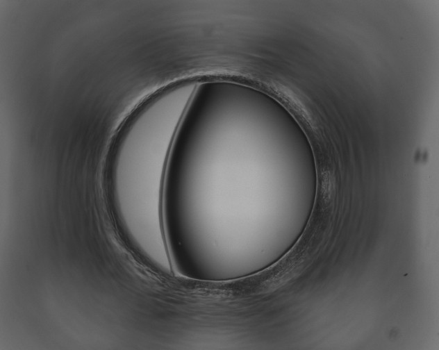 X0000091700676200708240934