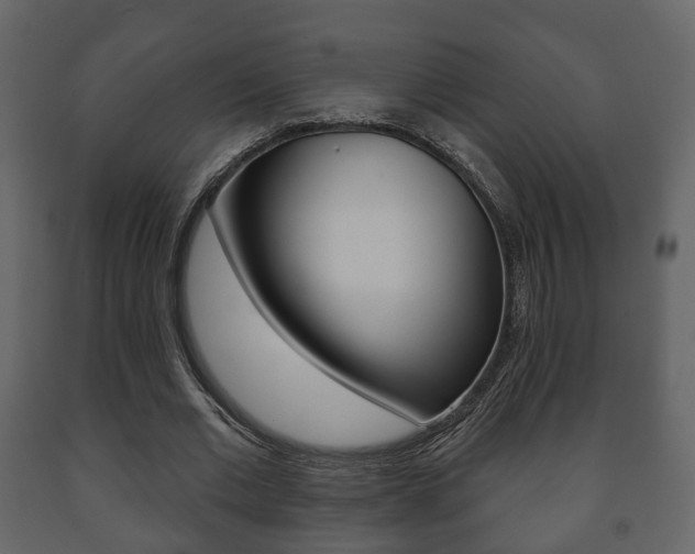 X0000091700677200708240934