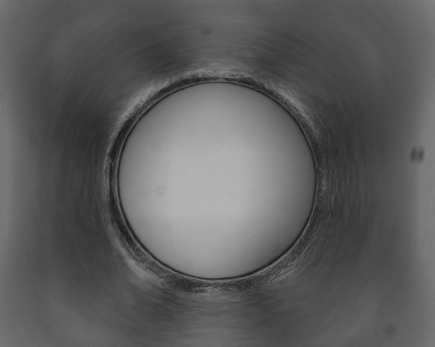 X0000091700678200708240934