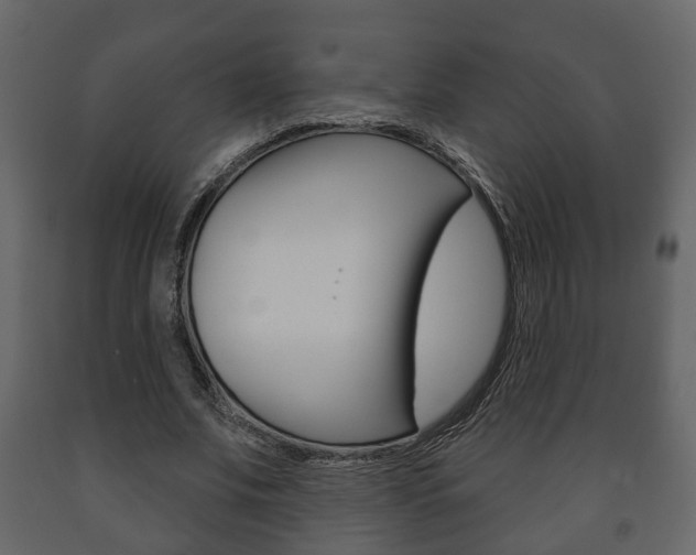 X0000091700679200708240934