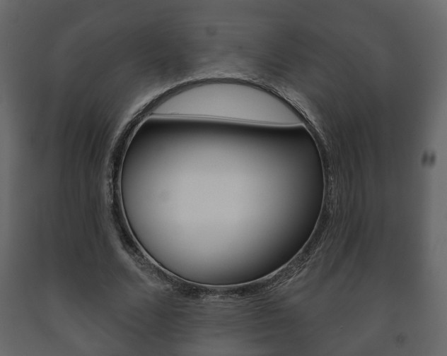 X0000091700680200708240934