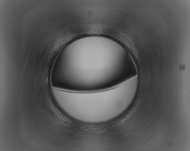 X0000091700681200708240934