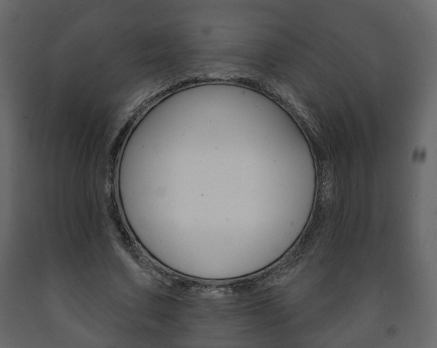 X0000091700683200708240934