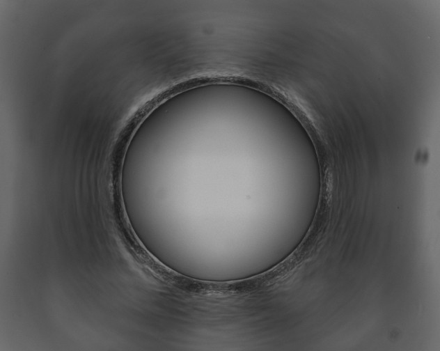 X0000091700684200708240934