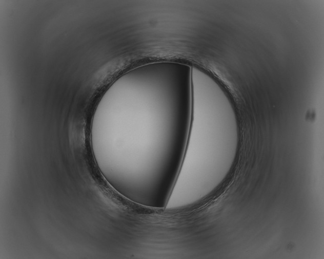 X0000091700685200708240934