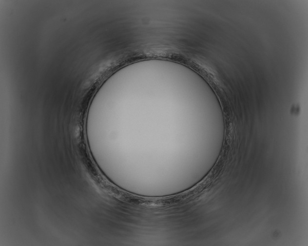 X0000091700687200708240934
