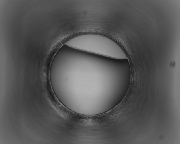 X0000091700688200708240934