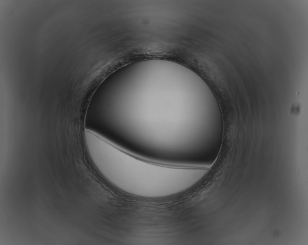 X0000091700689200708240934