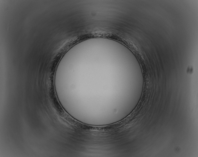 X0000091700690200708240934