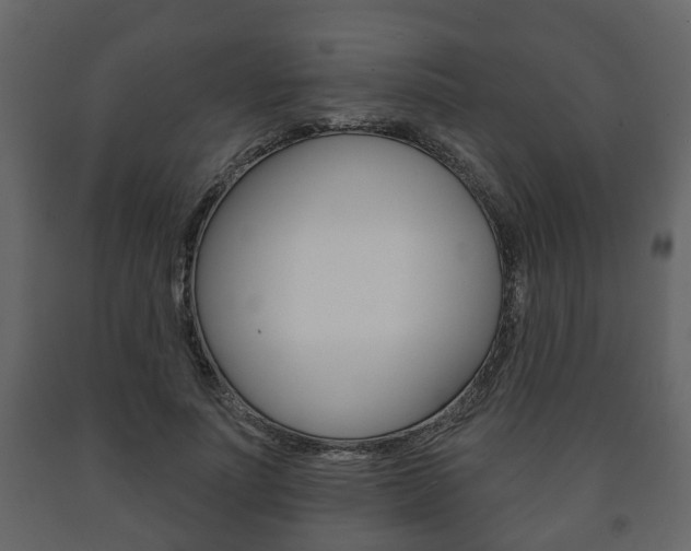X0000091700691200708240934
