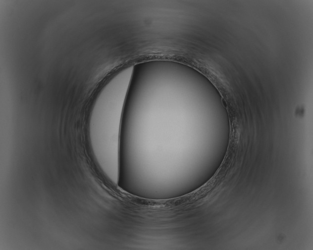 X0000091700692200708240934