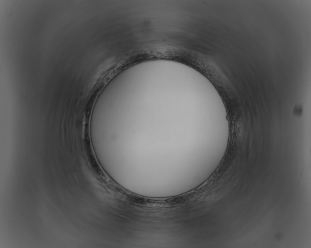 X0000091700694200708240934
