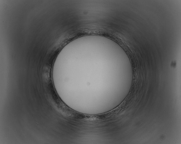 X0000091700695200708240934
