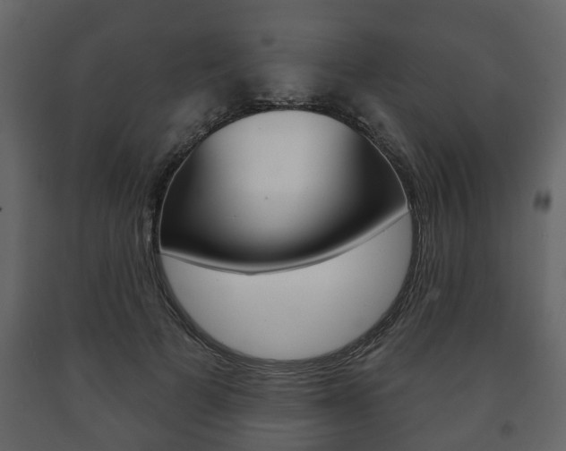 X0000091700697200708240934