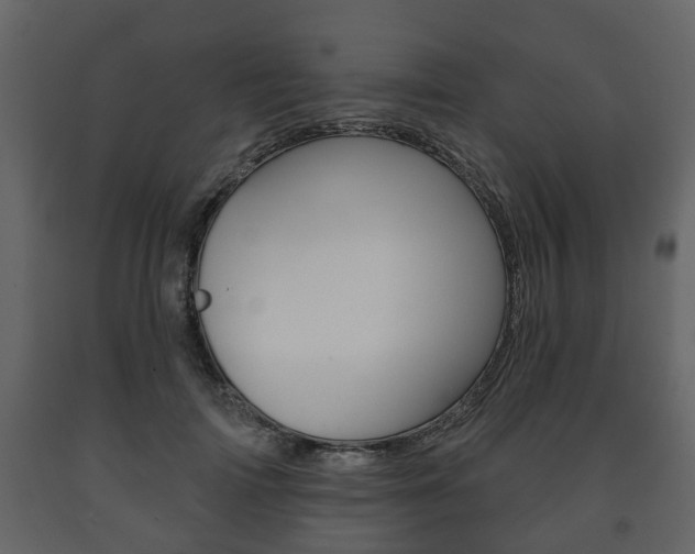 X0000091700698200708240934
