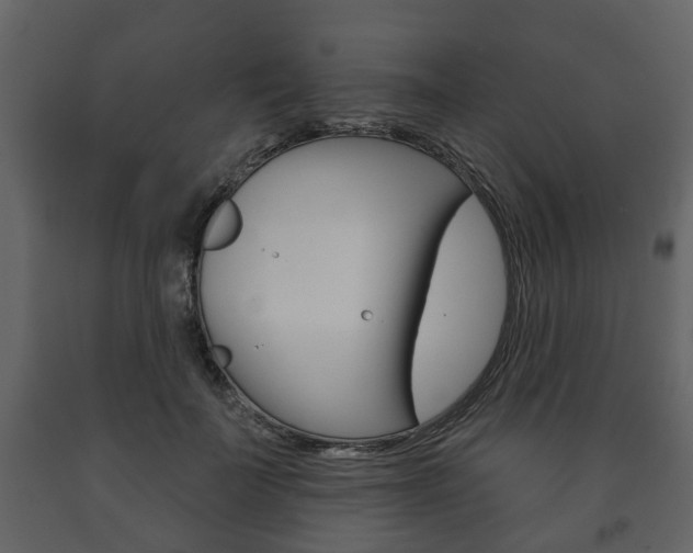 X0000091700699200708240934
