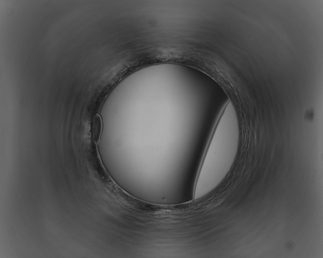 X0000091700700200708240934