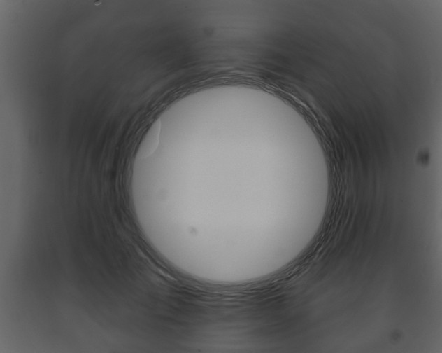 X0000091700701200708240934