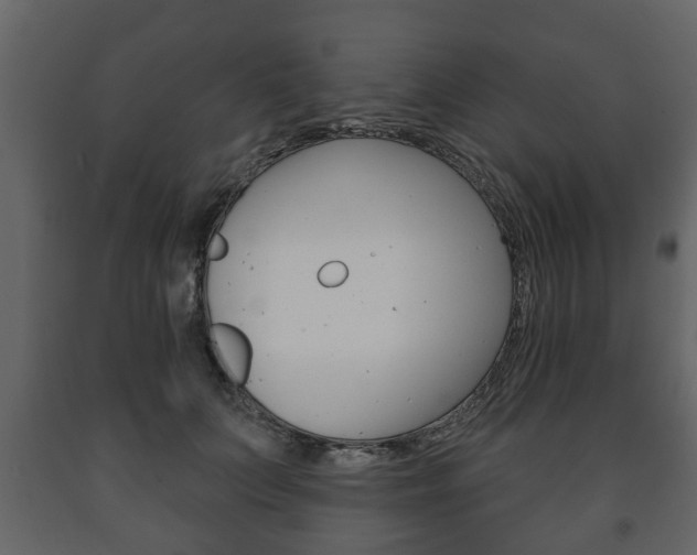 X0000091700703200708240934