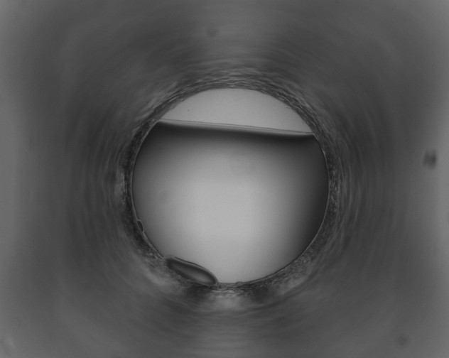 X0000091700704200708240934