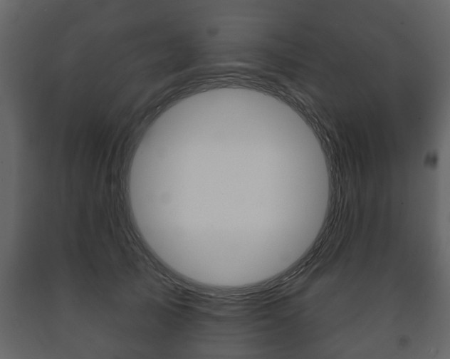 X0000091700705200708240934
